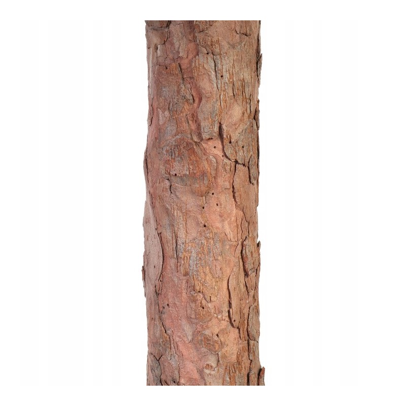 CHOINKA NA PNIU Z SOSNY, SZTUCZNA jak żywa ŚWIERK 150 CM GĘSTA OŚNIEŻONA CHO08 - obrazek 2