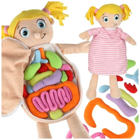 Lalka maskotka zabawka edukacyjna nauka anatomii dziewczynka