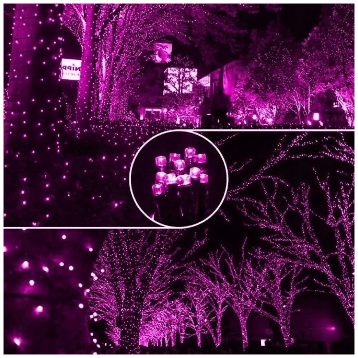 Światełka lampki wewnętrzne/zewnętrzne 200 LED Różowe - obrazek 3