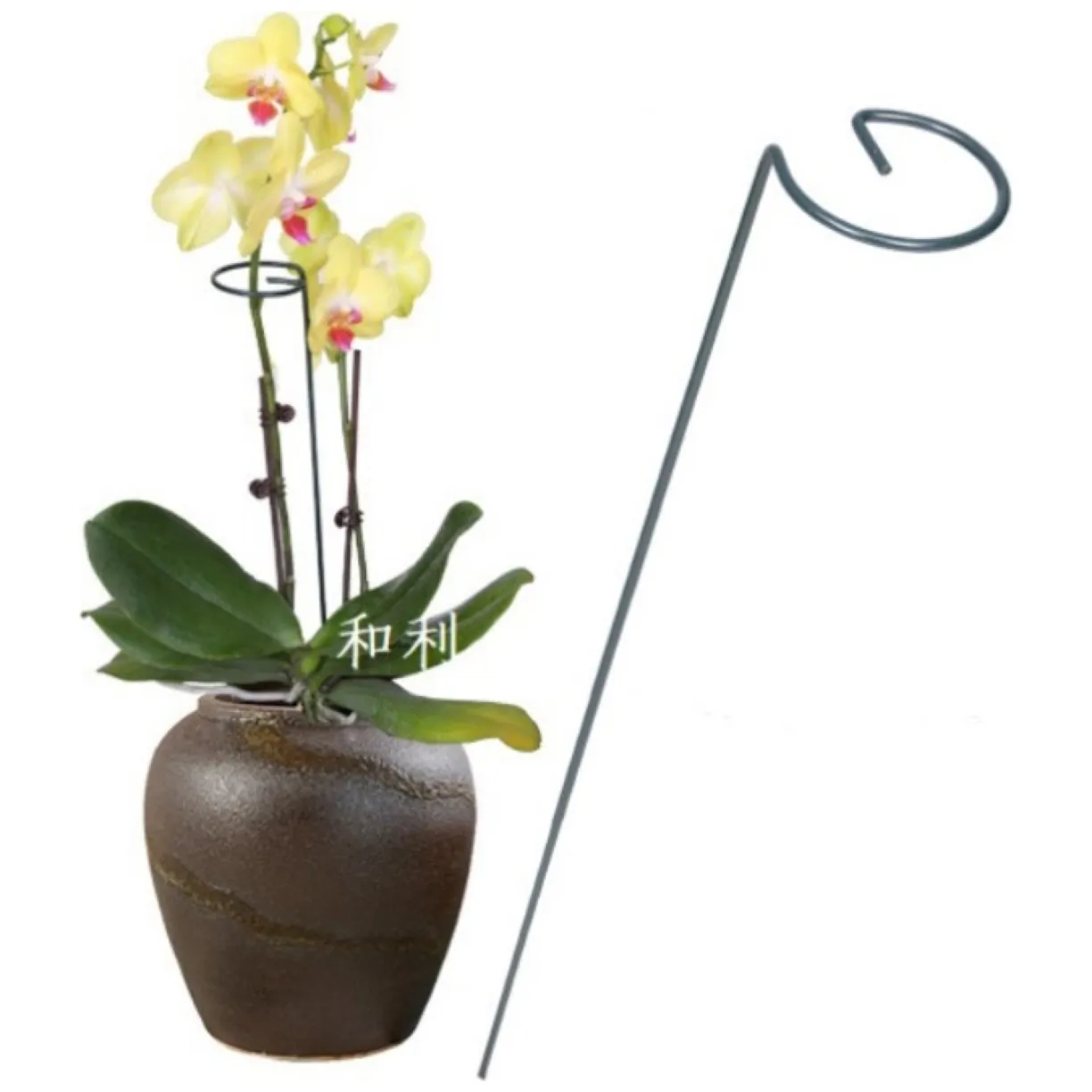 Podpora do roślin 35 cm ROS05WZ2
