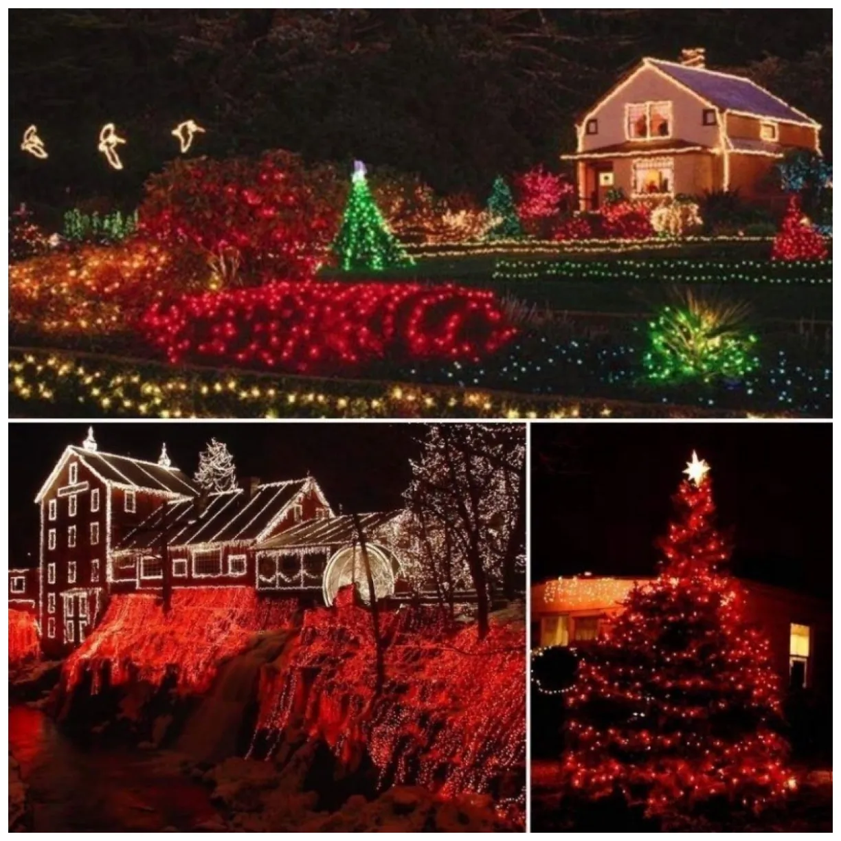 Światełka lampki wewnętrzne/zewnętrzne 300 LED Czerwone - obrazek 3