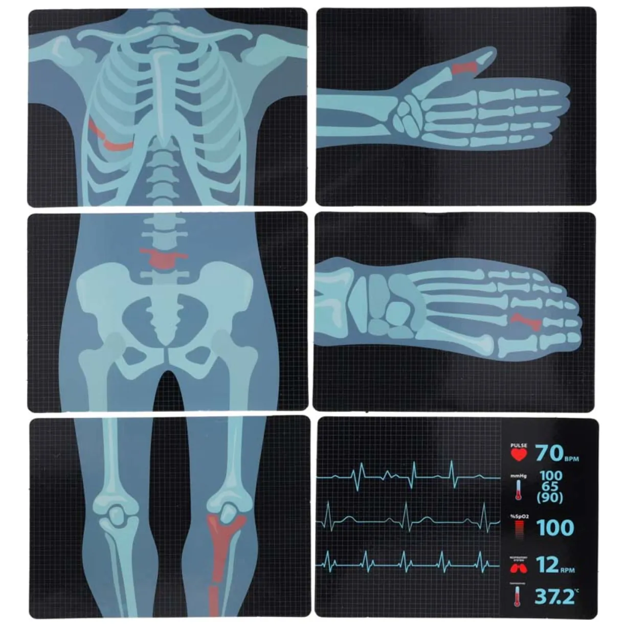 Interaktywna stacja medyczna Mały Doktor z EKG, RTG, światłem i dźwiękiem - obrazek 12